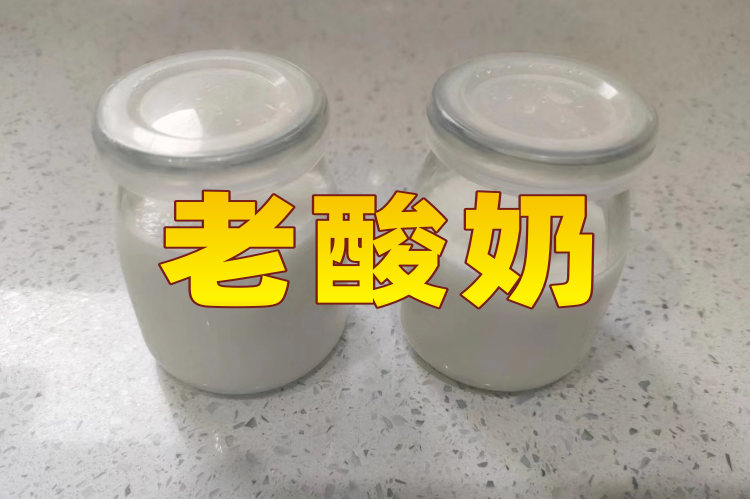 老酸奶